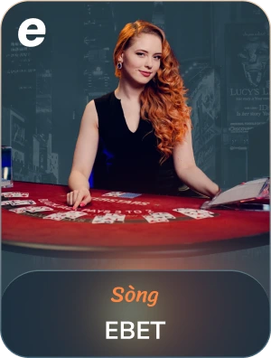 Song-e-provider-v2-1