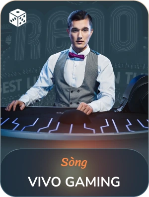 Song-vi-provider-v2-1